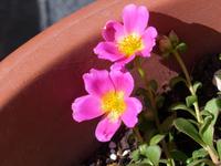 P1130963 &ndash; &copy; Margret van Blokland (Eberhardt TRAVEL)