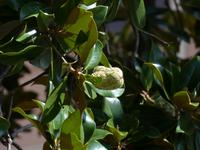P1130970 &ndash; &copy; Margret van Blokland (Eberhardt TRAVEL)