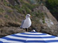 P1130996 &ndash; &copy; Margret van Blokland (Eberhardt TRAVEL)