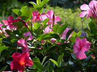 P1140635 &ndash; &copy; Margret van Blokland (Eberhardt TRAVEL)