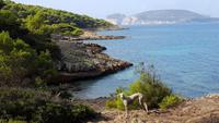 Capo Caccia &ndash; &copy; Betina Marinow (Eberhardt TRAVEL)