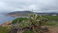 Isola Rossa  &ndash; &copy; Betina Marinow (Eberhardt TRAVEL)