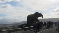 beim Elefanten &ndash; &copy; Sylvia Sann (Eberhardt TRAVEL)