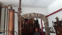Grappa-Destillerie 