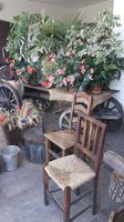 Grappa-Destillerie 