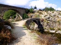 DSCI1239Genueserbrücke &ndash; &copy; Angelika Werner (Eberhardt TRAVEL)