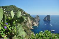 Isola di Capri - Augustusgarten - Giardini Augusto &ndash; &copy; Martin Büchner (Eberhardt TRAVEL)