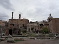 im Forum Romanum &ndash; &copy; Claudia Rossin (Eberhardt TRAVEL)