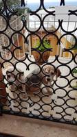 Insel Capri, tierische Freunde &ndash; &copy; Ria Heilmann (Eberhardt TRAVEL)