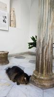 Insel Capri, Anacapri, Villa San Michele &ndash; &copy; Ria Heilmann (Eberhardt TRAVEL)