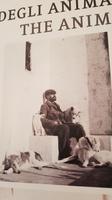 Insel Capri, Anacapri, Villa San Michele, Axeo Munthe &ndash; &copy; Ria Heilmann (Eberhardt TRAVEL)