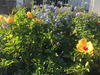 090 Hotelgarten &ndash; &copy; Patrick Fritzsche (Eberhardt TRAVEL)