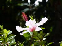 P1150676