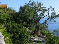 P1150680 &ndash; &copy; Margret van Blokland (Eberhardt TRAVEL)
