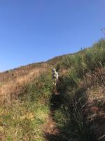 wundervolle Wanderwege &ndash; &copy; Mathias Schirmer (Eberhardt TRAVEL)