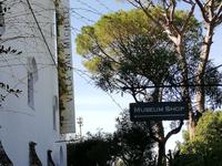 Capri &ndash; &copy; Gisela Gerlach (Eberhardt TRAVEL)