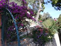 Capri-Augustusgärten &ndash; &copy; Gisela Gerlach (Eberhardt TRAVEL)