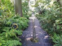 Forio, Rundgang mit Gabi, Garten La Mortella &ndash; &copy; Gisela Gerlach (Eberhardt TRAVEL)