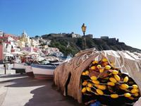 Procida &ndash; &copy; Gisela Gerlach (Eberhardt TRAVEL)