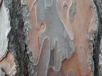 dto. &ndash; &copy; Birgit Hornung (Eberhardt TRAVEL)