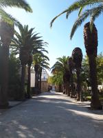 Ragusa &ndash; &copy; Antonia Mikulasch (Eberhardt TRAVEL)