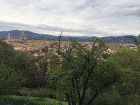 Bardini-Garten - Blick auf Florenz &ndash; &copy; Patrick Fritzsche (Eberhardt TRAVEL)