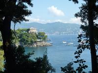 Im Pinienwald nach Portofino &ndash; &copy; Tina Pöhler (Eberhardt TRAVEL)