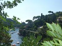 Im Pinienwald nach Portofino &ndash; &copy; Tina Pöhler (Eberhardt TRAVEL)