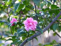 P1180152 &ndash; &copy; Margret van Blokland (Eberhardt TRAVEL)