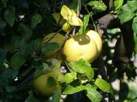P1180158 &ndash; &copy; Margret van Blokland (Eberhardt TRAVEL)