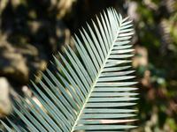 P1180175 &ndash; &copy; Margret van Blokland (Eberhardt TRAVEL)
