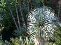 P1180182 &ndash; &copy; Margret van Blokland (Eberhardt TRAVEL)