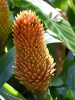 P1180205 &ndash; &copy; Margret van Blokland (Eberhardt TRAVEL)