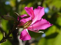 P1180220 &ndash; &copy; Margret van Blokland (Eberhardt TRAVEL)
