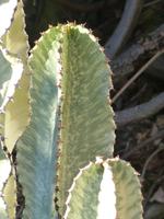 P1180234 &ndash; &copy; Margret van Blokland (Eberhardt TRAVEL)