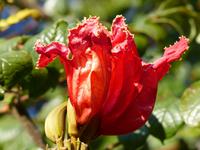 P1180237 &ndash; &copy; Margret van Blokland (Eberhardt TRAVEL)