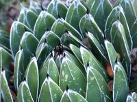 P1180259 &ndash; &copy; Margret van Blokland (Eberhardt TRAVEL)