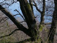 P1180804 &ndash; &copy; Margret van Blokland (Eberhardt TRAVEL)