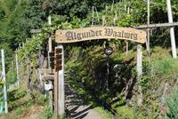 Algunder Waalweg &ndash; &copy; Mario Scheinert (Eberhardt TRAVEL)