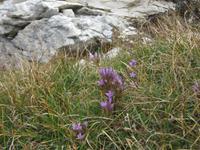 Na, was sagen die Botaniker? &ndash; &copy; Anne Sturm (Eberhardt TRAVEL)