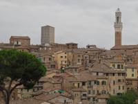 Siena &ndash; &copy; Katrin Deutschbein (Eberhardt TRAVEL)