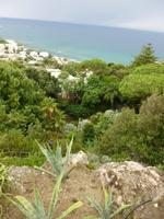La Mortella &ndash; &copy; Petra Scherbaum (Eberhardt TRAVEL)
