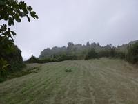 beim Epomeoaufstieg  &ndash; &copy; Petra Scherbaum (Eberhardt TRAVEL)