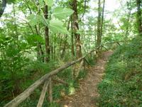 weg &ndash; &copy; Petra Scherbaum (Eberhardt TRAVEL)
