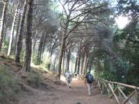 weg &ndash; &copy; Petra Scherbaum (Eberhardt TRAVEL)