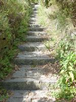 weg &ndash; &copy; Petra Scherbaum (Eberhardt TRAVEL)
