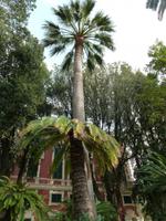 Villa Durazzo &ndash; &copy; Betina Marinow (Eberhardt TRAVEL)