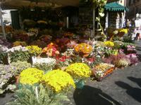 Blumenmarkt &ndash; &copy; Gabriele Schwarze (Eberhardt TRAVEL)