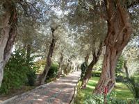 Park 