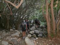 im Tal des Anapo